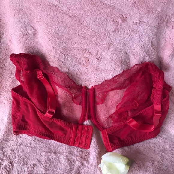 Divine Full Coverage lace Bra - Picture 9 of 12